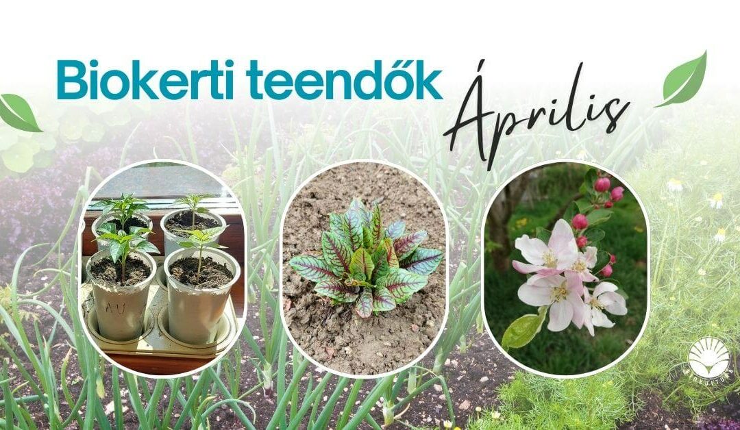 Biokerti teendők – április
