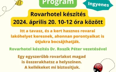 Rovarhotel készítés az Ökopiacon 2024. április 20-án