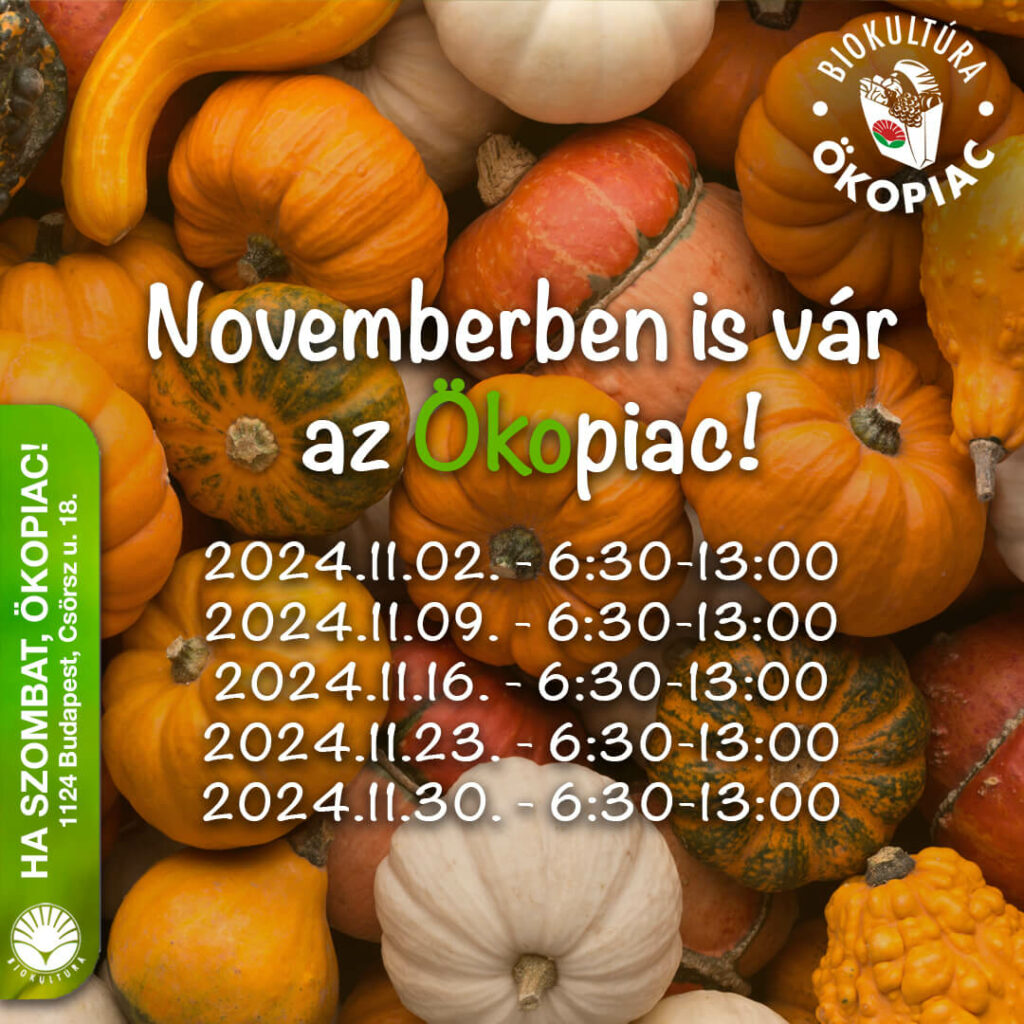 Novemberben is vár az Ökopiac!