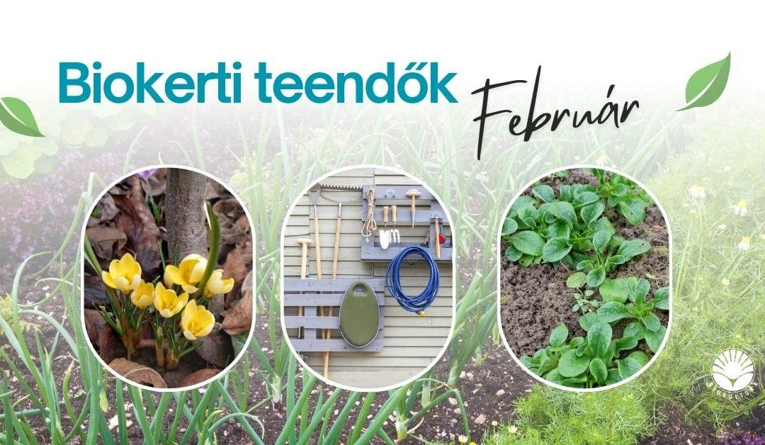 Biokerti teendők – február