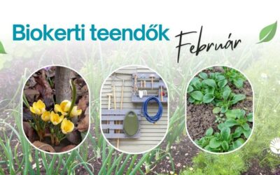 Biokerti teendők – február