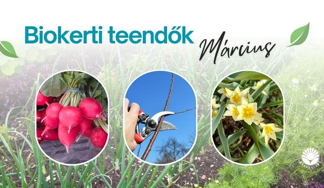 Biokerti teendők – március