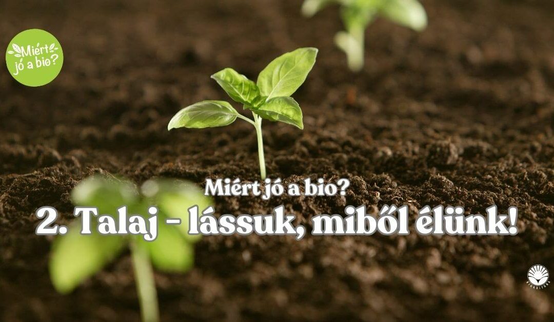 Talaj – Lássuk, miből élünk!
