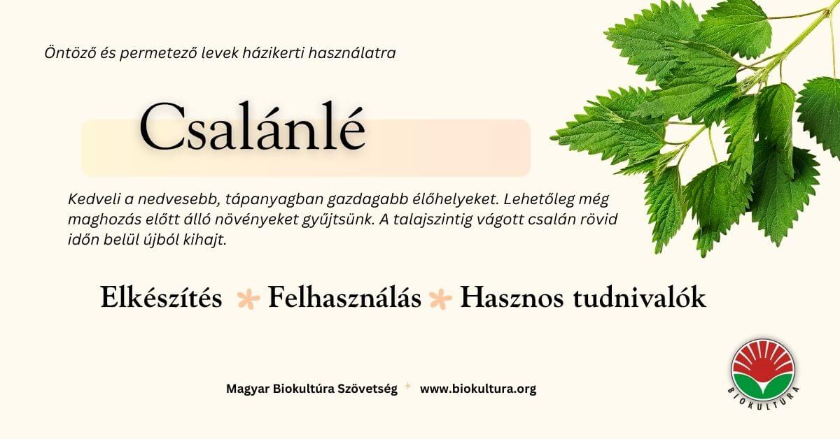 Zöldségfélék vetési adatai