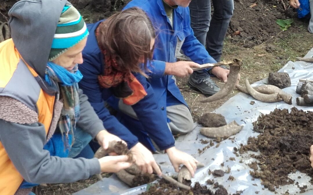 Biodinamikus preparátum-készítési nap – 2025. április 26., Bátaszék