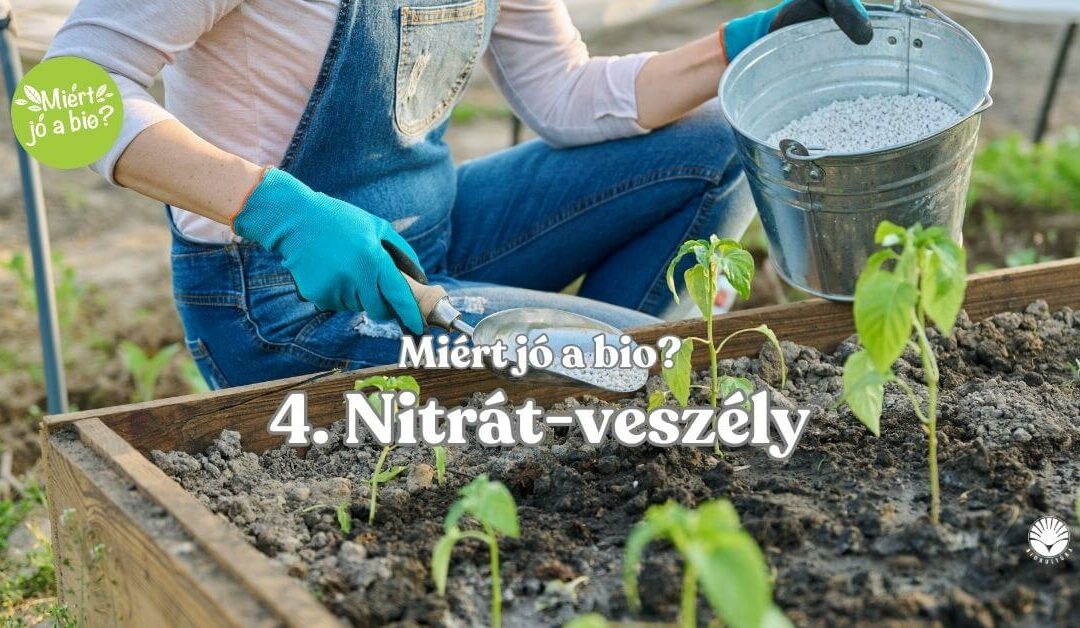 Nitrát-veszély