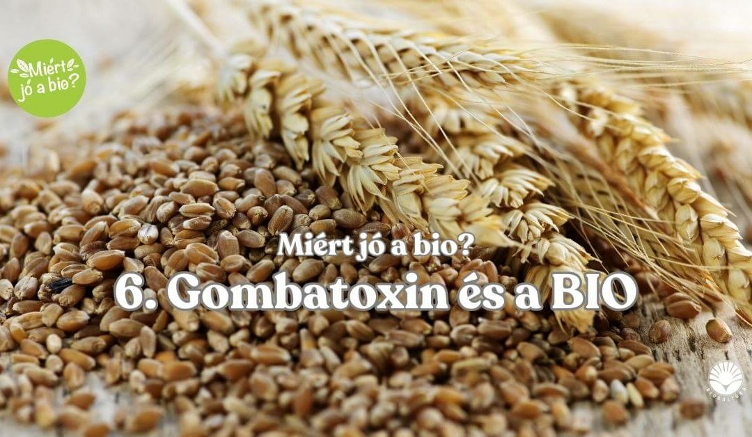 Gombatoxin és a bio