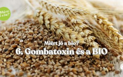 Gombatoxin és a bio