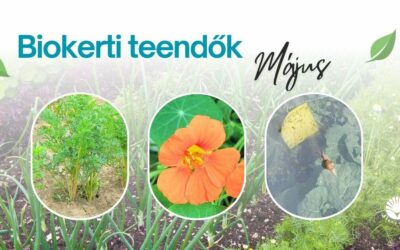 Biokerti teendők – május