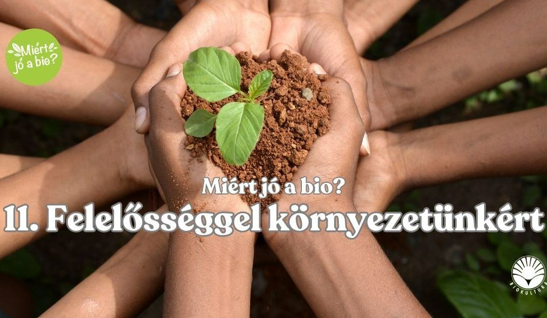 Felelősséggel környezetünkért