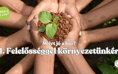 Felelősséggel környezetünkért