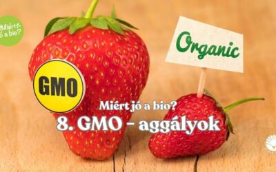 GMO-aggályok