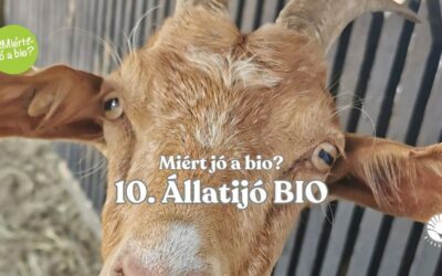 Állatijó BIO