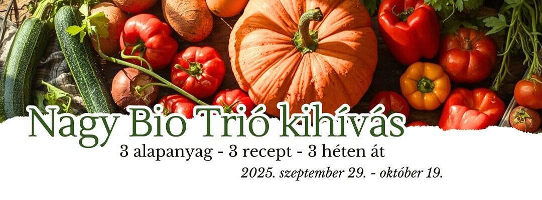 Nagy Bio Trió Kihívás összefoglaló