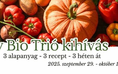 Nagy Bio Trió Kihívás összefoglaló