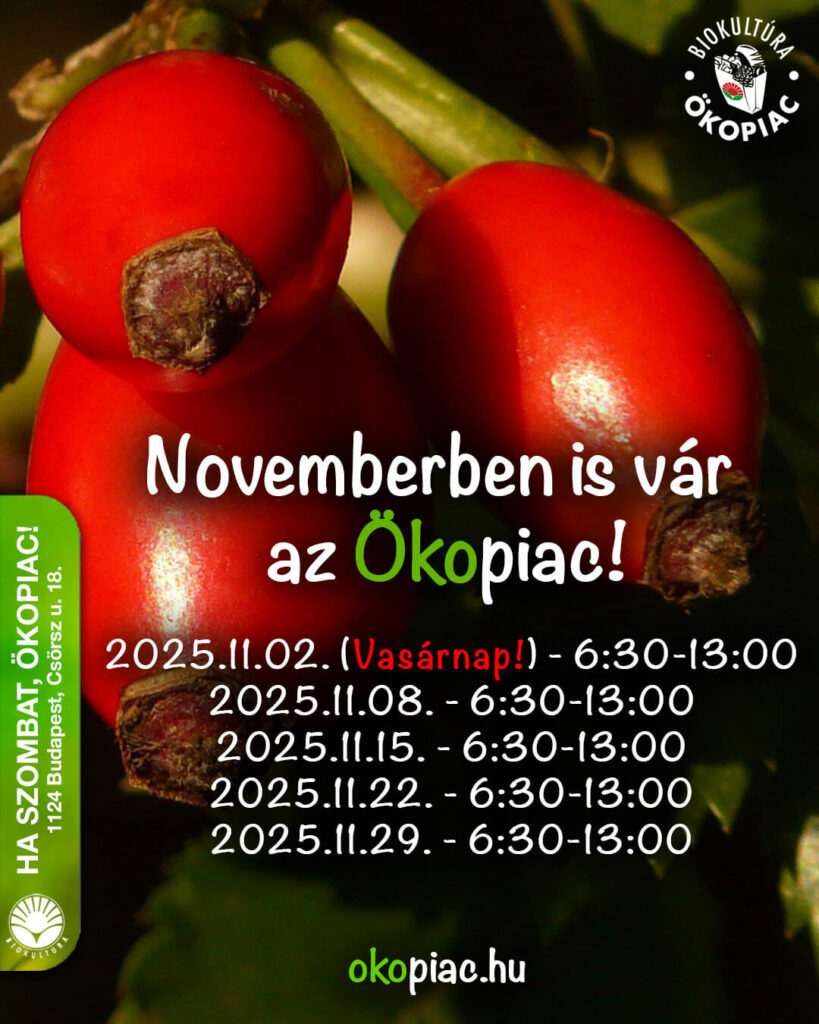 Novemberben is vár az Ökopiac!