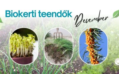 Biokerti teendők – december