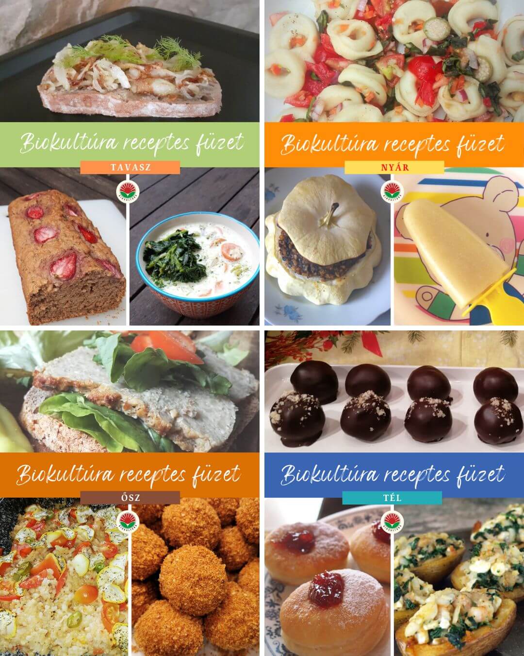 Ősz a biokertben - sün