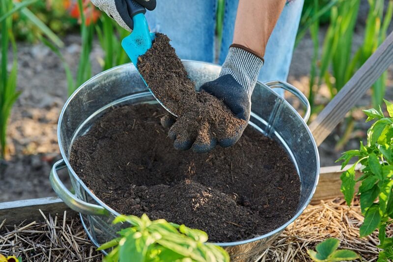 Ősszel vagy tavasszal hordjuk ki a komposztot?