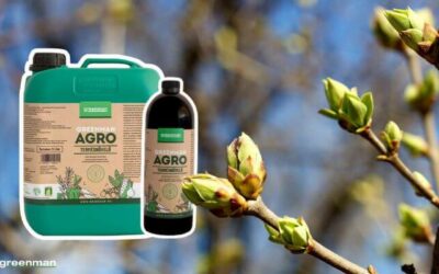 Tavaszi permetezés: ökológiai növényvédelem a biotermesztésben