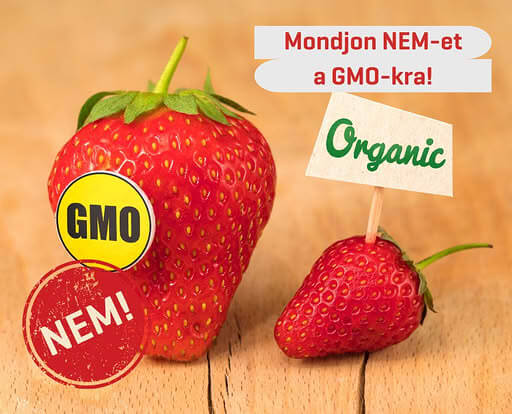 Védjük meg a GMO-mentes mezőgazdaságot!