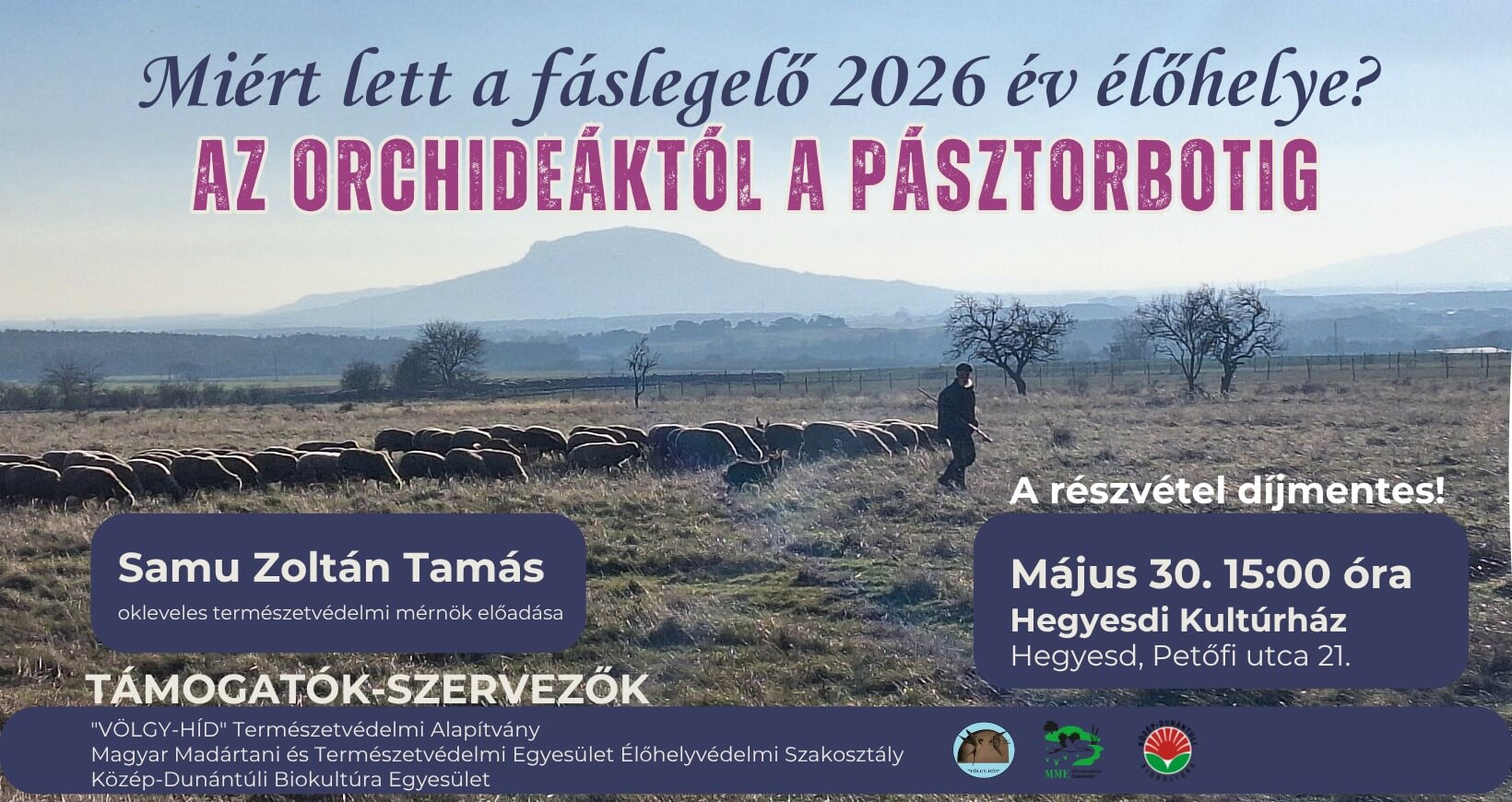 Pödörjünk-sodorjunk! - Tésztaformázás az Ökopiacon