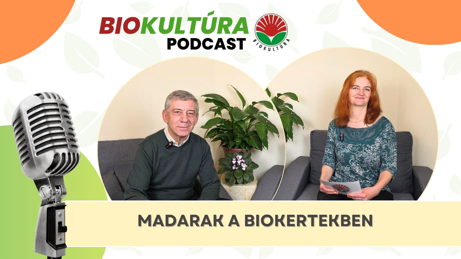 Madarak a biokertekben