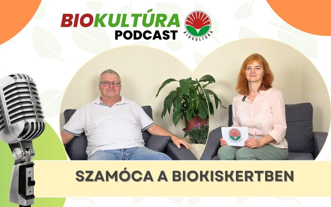 Biokultúra podcast: Szamóca a biokiskertben